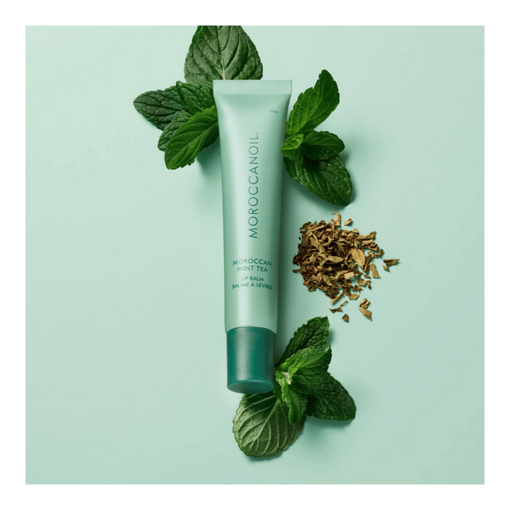 Moroccanoil Lip Balm Moroccan Mint Tea transparenter Lippenbalsam mit Minze für frische und gepflegte Lippen